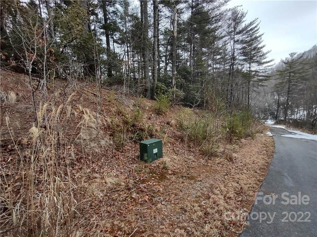 Lot # 10 Pleasant Grove Church Road - Photo 1