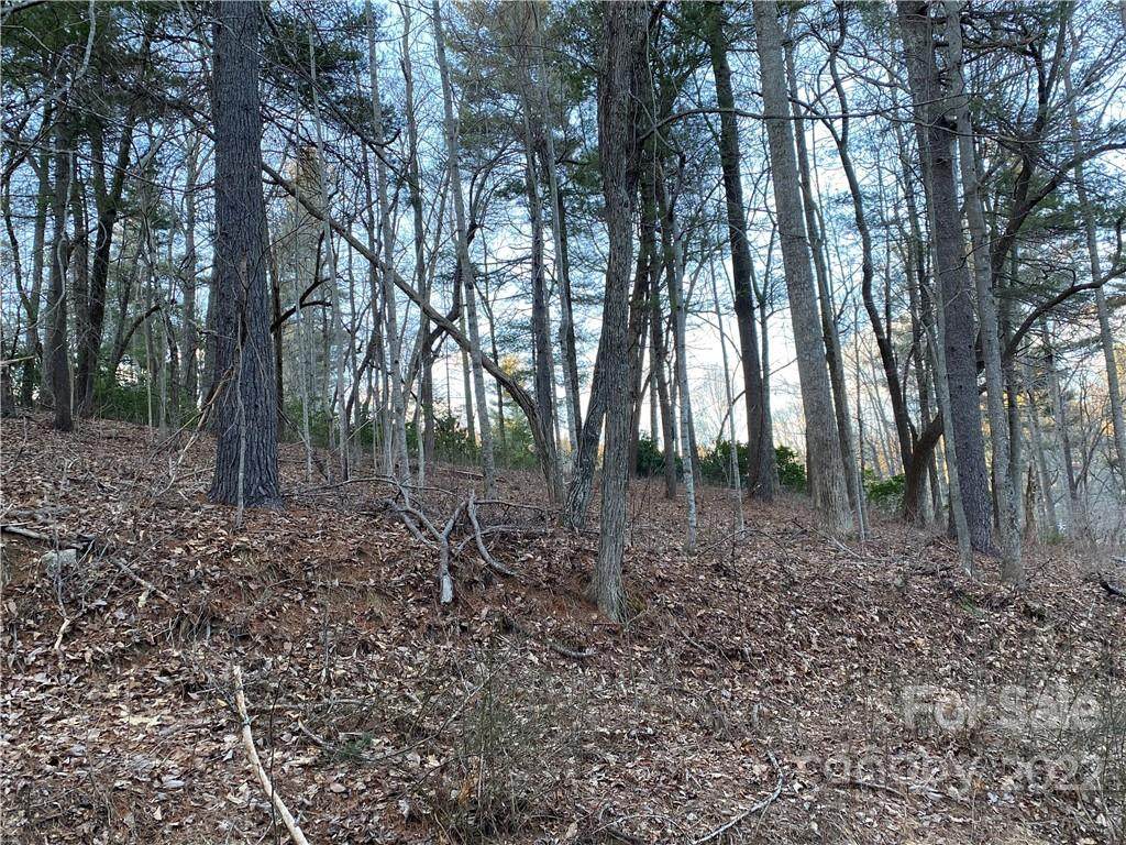 000 Winding Meadows Drive - Photo 1
