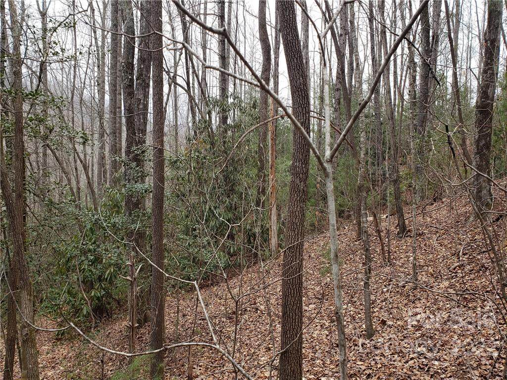 LOT 13 Staton Ridge Road - Photo 1