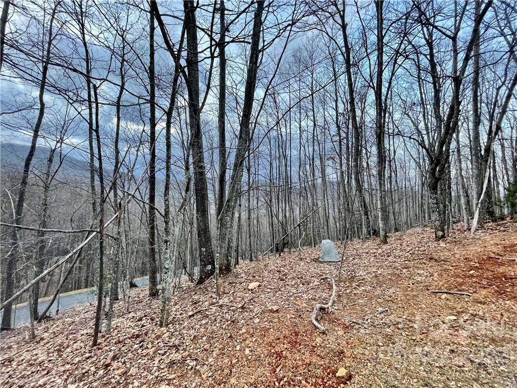 1306 Double Knob Drive - Photo 1