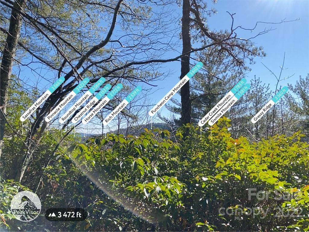 Lot 21 Toxaway Court - Photo 1