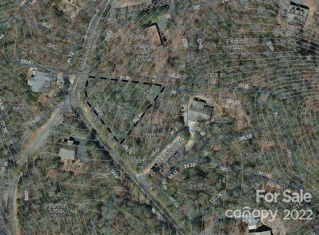TBD Salola Lane - Photo 1