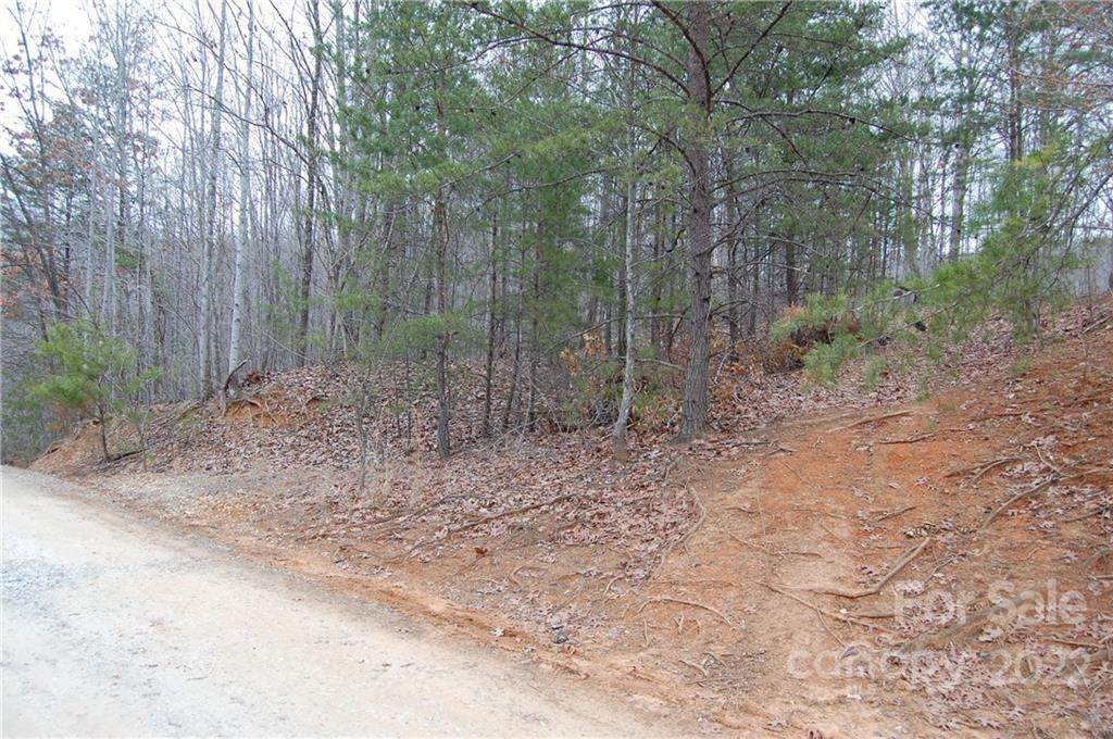 00 Goose Creek - Photo 1