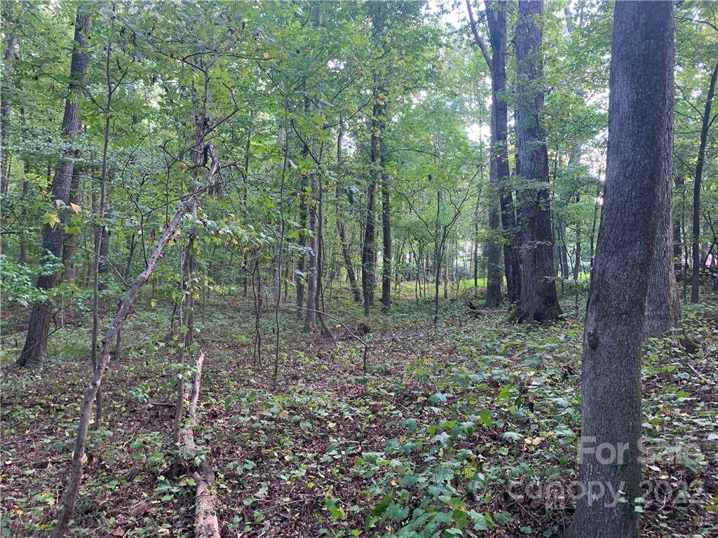4514 Lawrence Daniel Drive - Photo 1