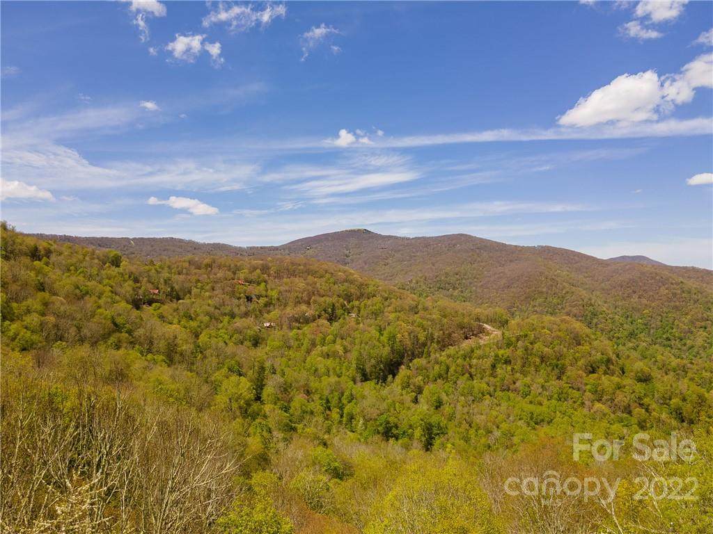 57 Running Cedar Lane - Photo 1