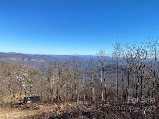 0000 Sugarloaf Mountain Road - Photo 1