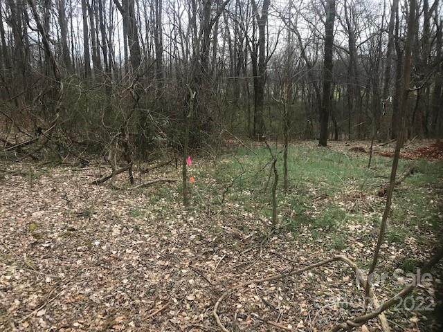 4206 Old Pageland Marshville Road - Photo 1