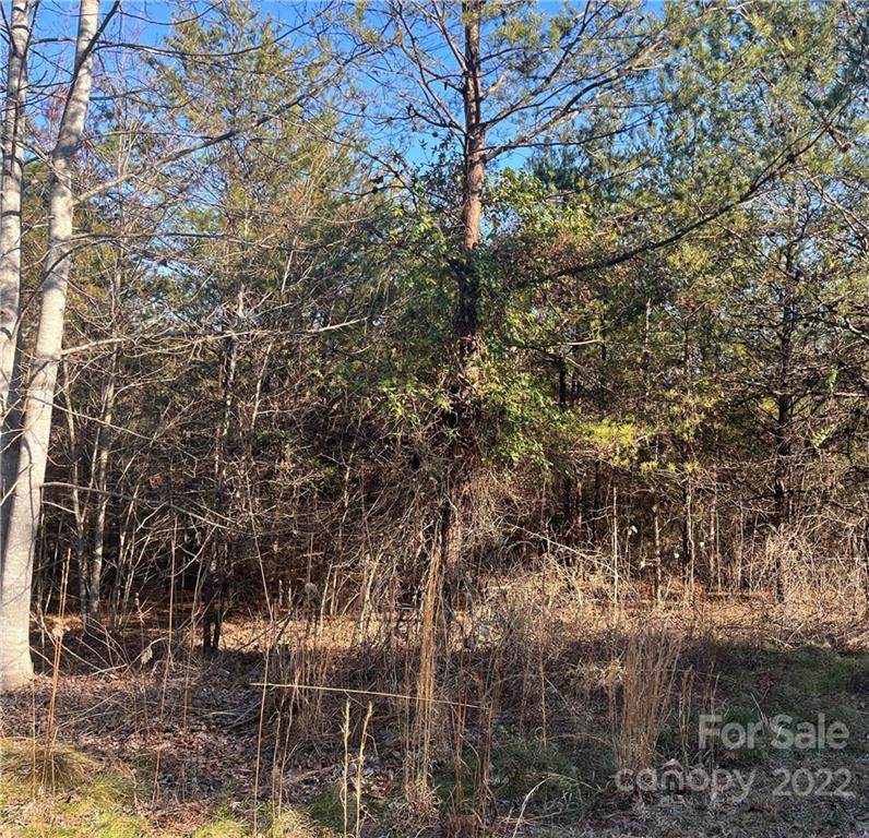 0 Clearwater Parkway - Photo 1