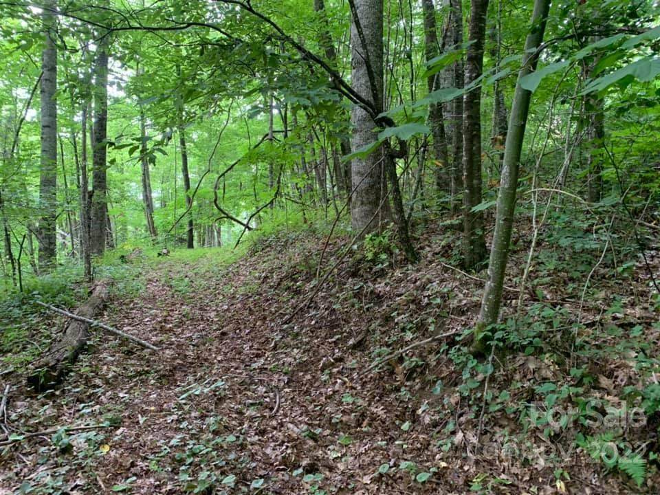 TBD Ridgerunner Road - Photo 1