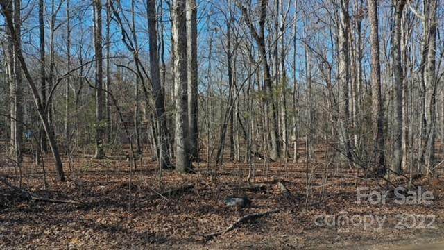Lot 315 Shannon Loop - Photo 1