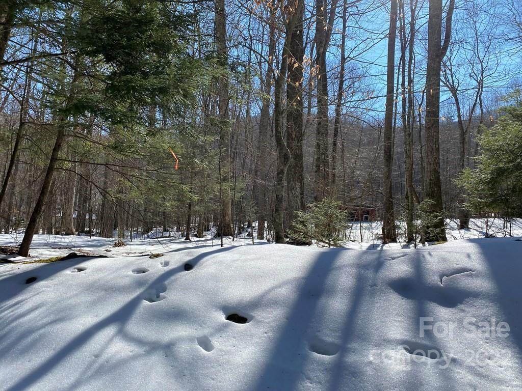 00 Hickory Springs Road - Photo 1