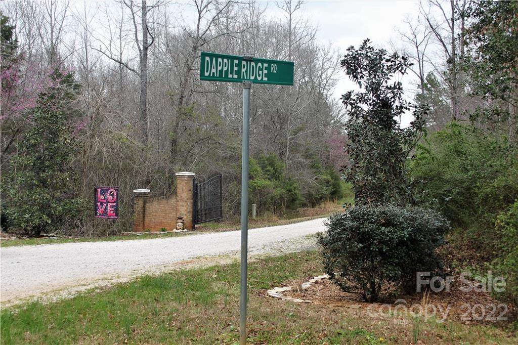 Lot A Maggie Robinson Road - Photo 1