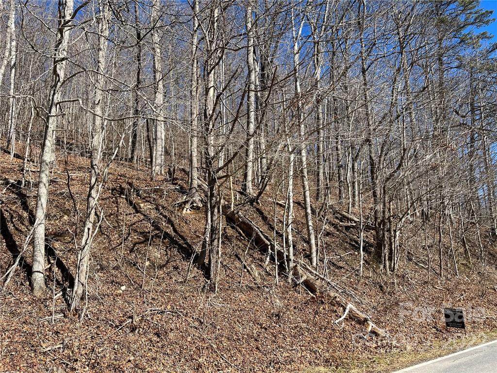 63 Chestnut Hill Road - Photo 1