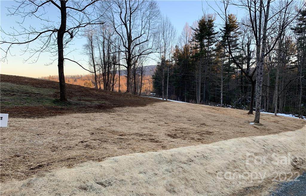 36 Ebenezer Trail - Photo 1