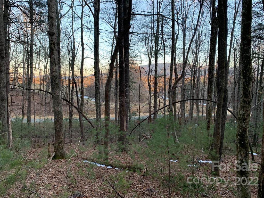 197 Ebenezer Trail - Photo 1