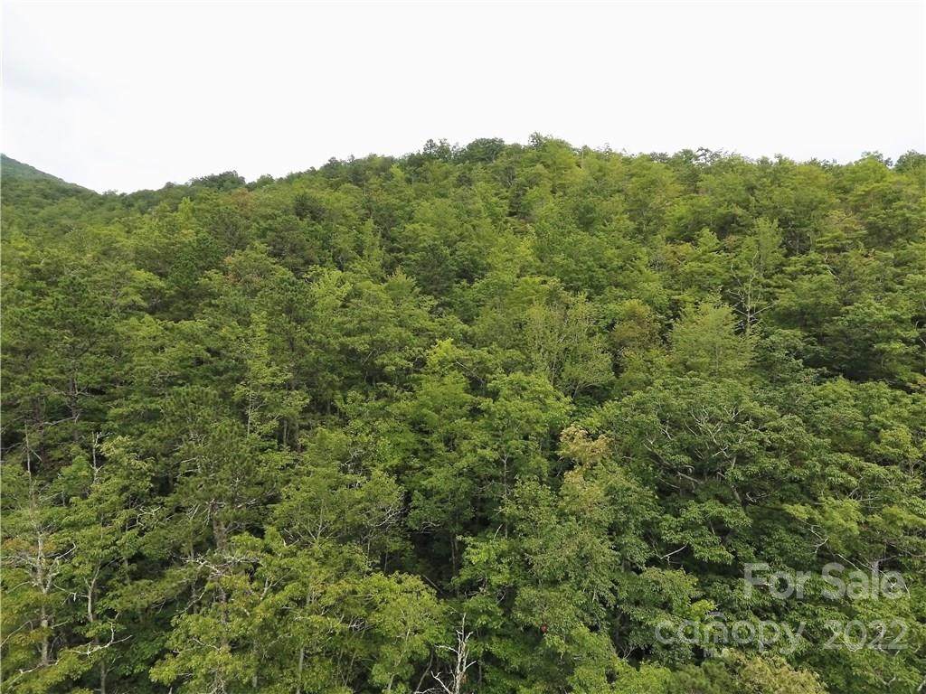 00 Bent Tree Road - Photo 1
