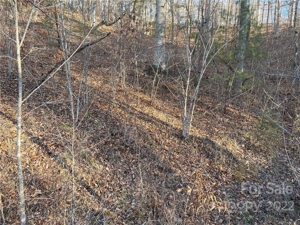 0 Cross Creek Drive - Photo 1