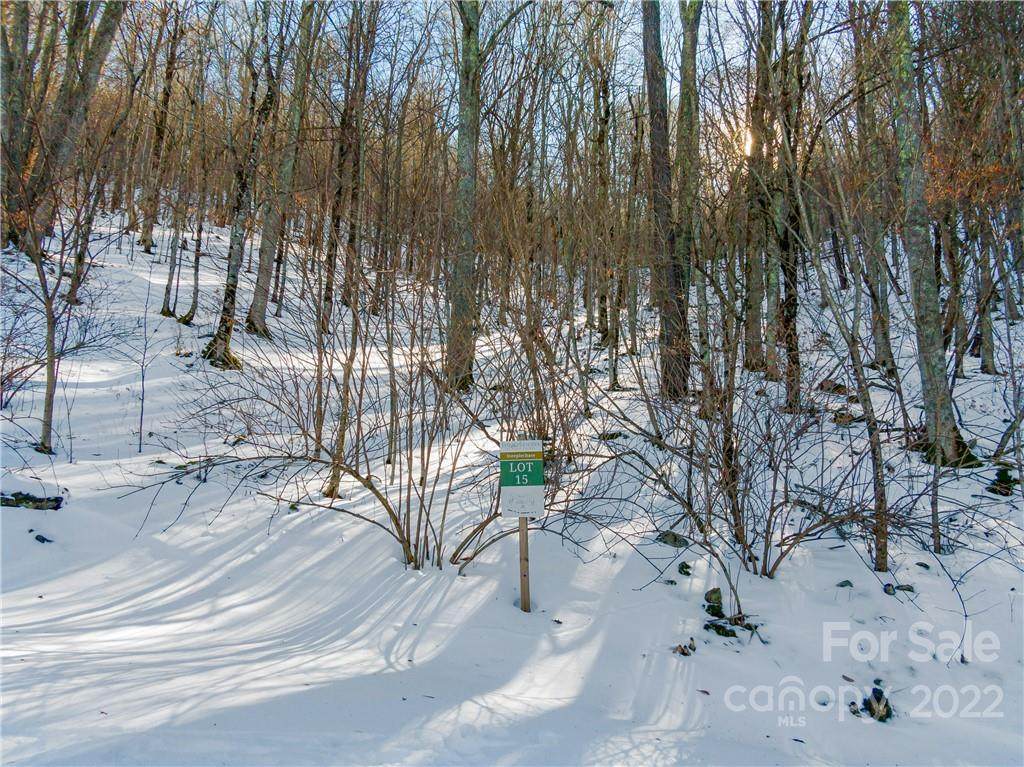 Lot 15 Mountain Gait Drive - Photo 1