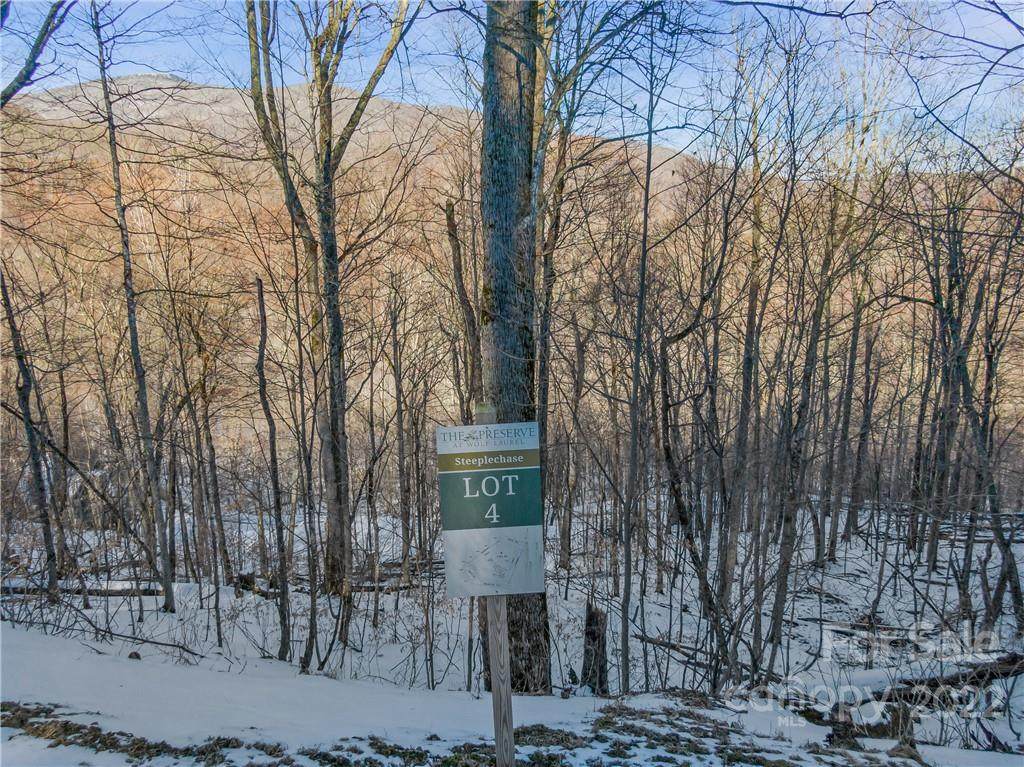 Lot 4 Mountain Gait Drive - Photo 1