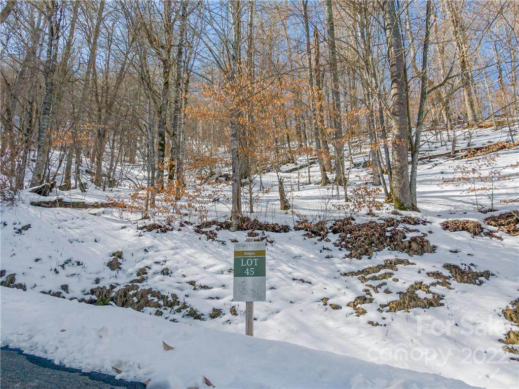 Lot 45 Black Bear Run - Photo 1