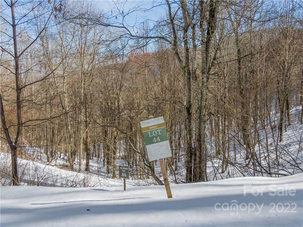 Lot 44 Black Bear Run - Photo 1