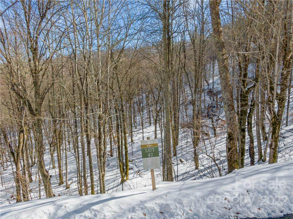 Lot 42 Black Bear Run - Photo 1
