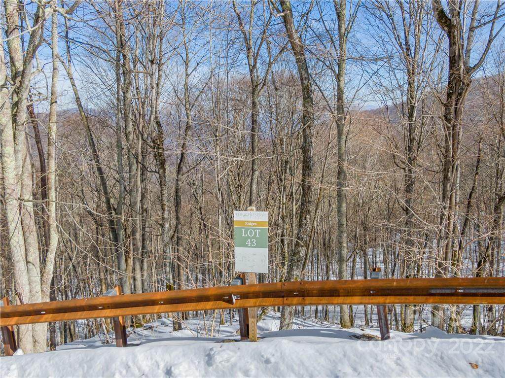 Lot 43 Black Bear Run - Photo 1