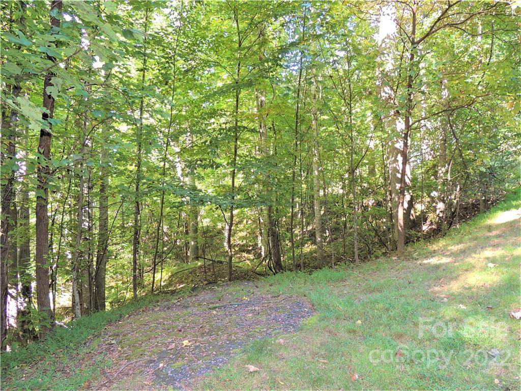 536 Blue Mist Way - Photo 1