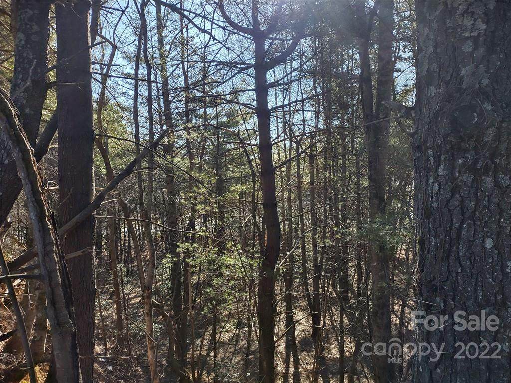 956 Ozone Drive - Photo 1