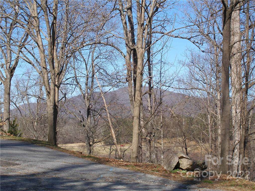 LOT 74 Tatham Road - Photo 1