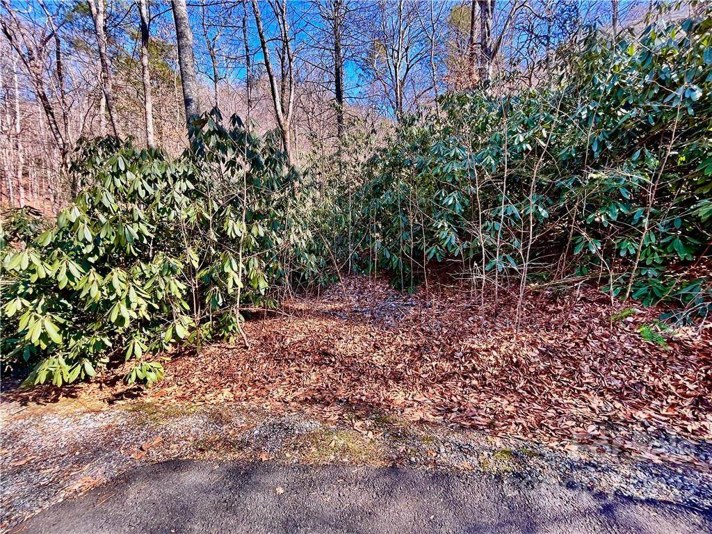 Lot 17 Blue Rock Road - Photo 1