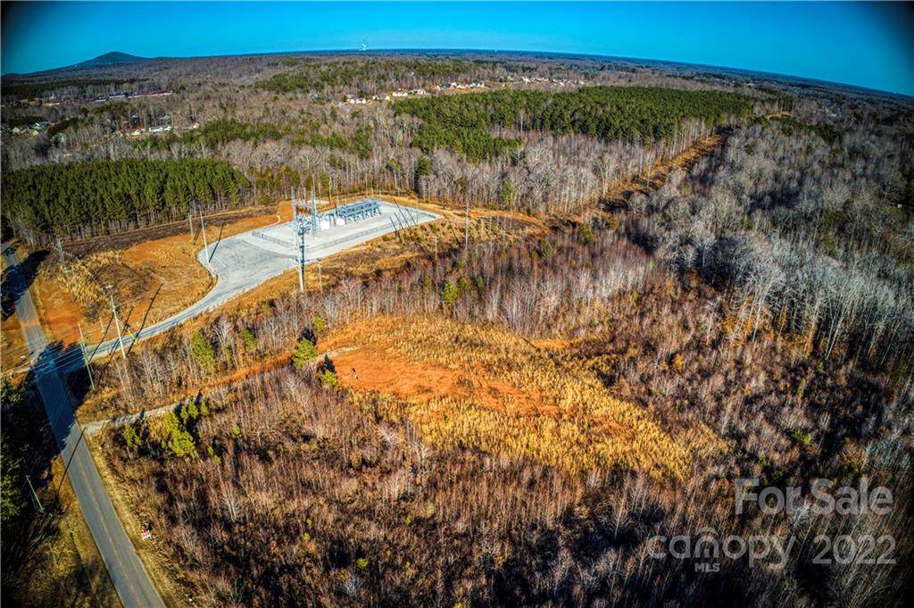 0 Otis Dellinger Road - Photo 1