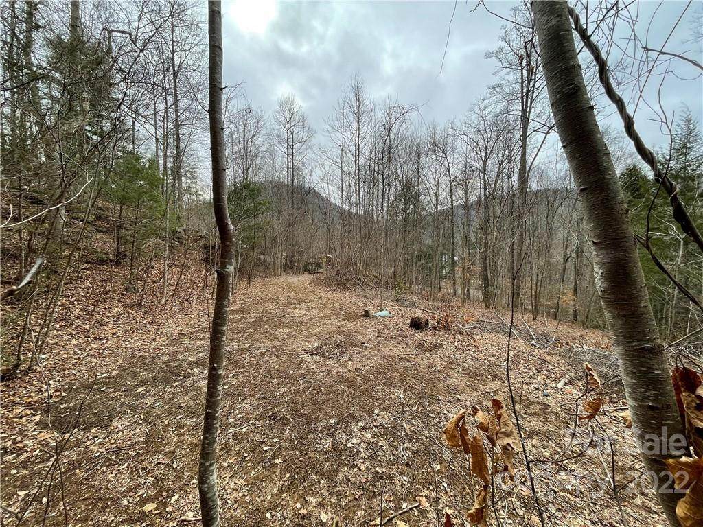 00000 Blue Rock Road - Photo 1
