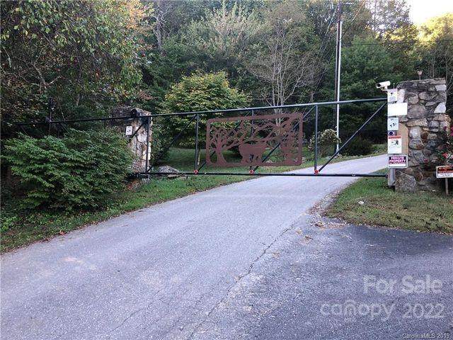 337 and 343 Bear Wallow Trail - Photo 1