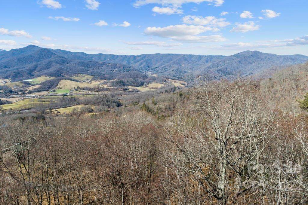 Lots 119 and 120 Maple Springs Drive - Photo 1