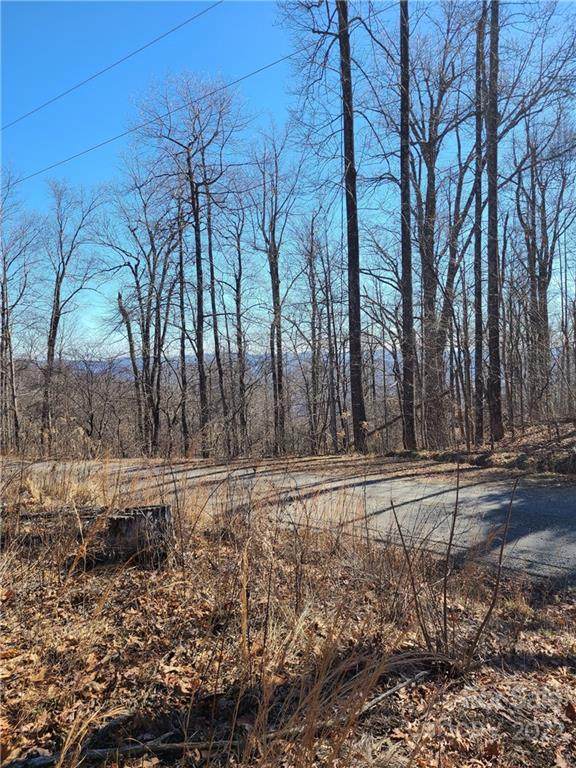 0 Doubleview Drive - Photo 1