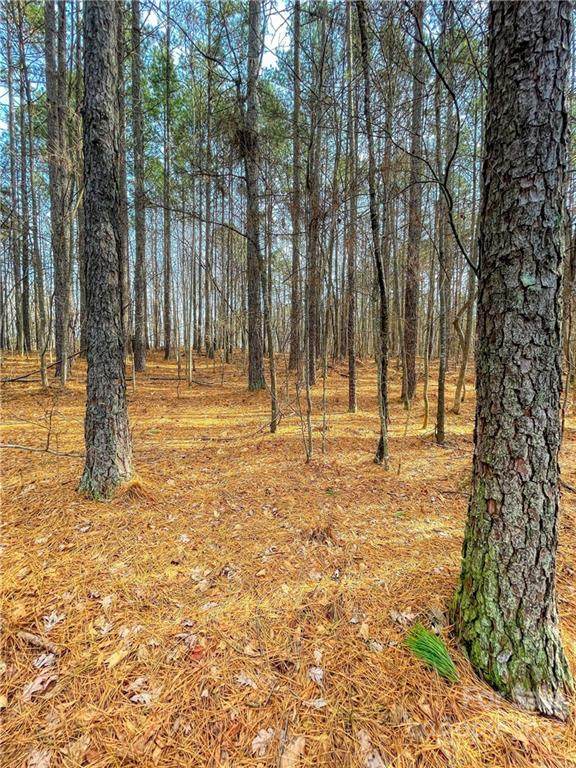 500 Cove Wood Drive - Photo 1