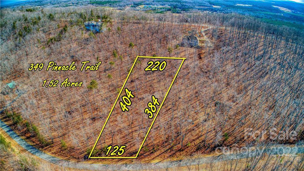 349 Pinnacle Trail - Photo 1