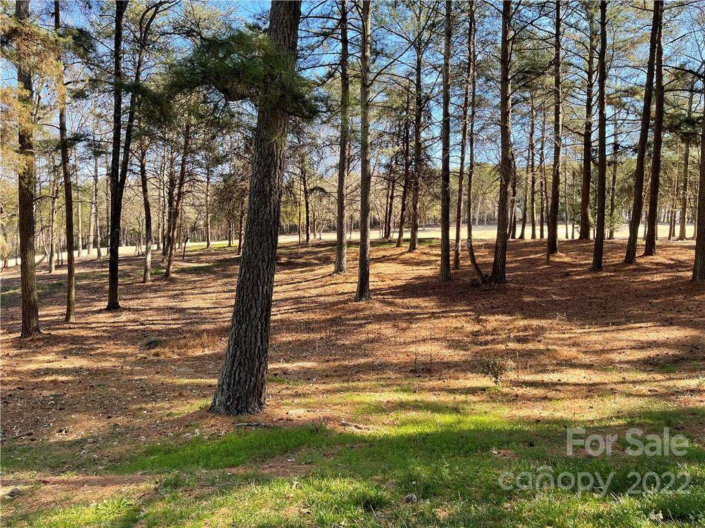 149 Yadkin Falls Road - Photo 1