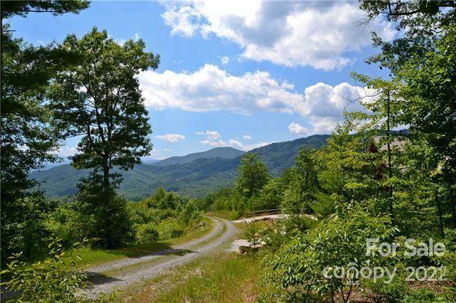 Lot 39 Fox Ridge Trail - Photo 1
