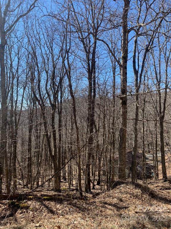 337 Hamlin Lane - Photo 1
