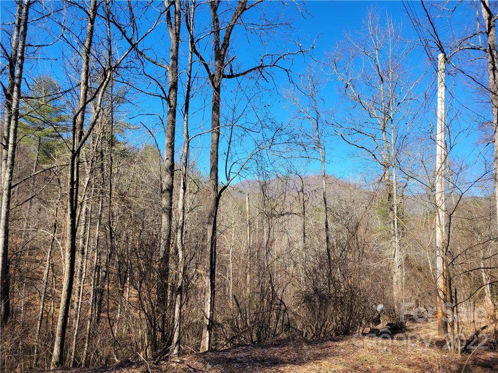 Lot 3 Cabin Hill Road - Photo 1
