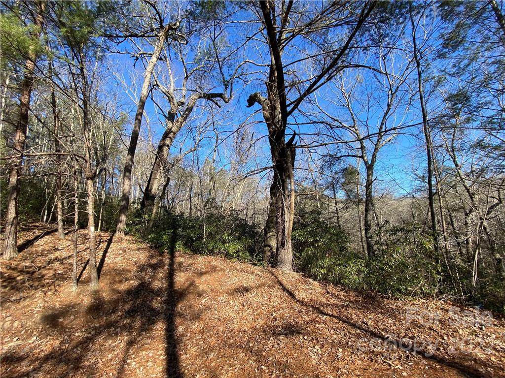00 Bonnie Lee Lane - Photo 1