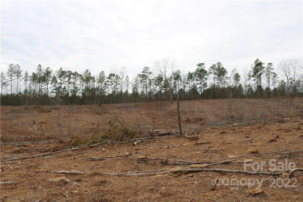 0000 Morgan Sellers Road - Photo 1
