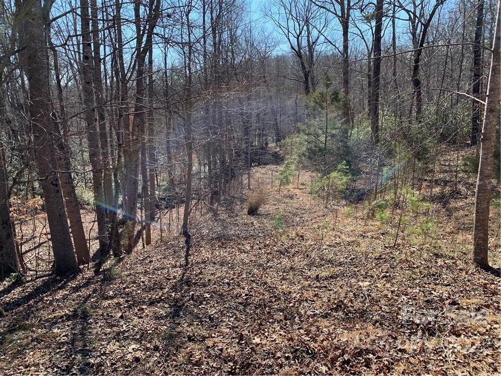 206 Westmoreland Trail - Photo 1