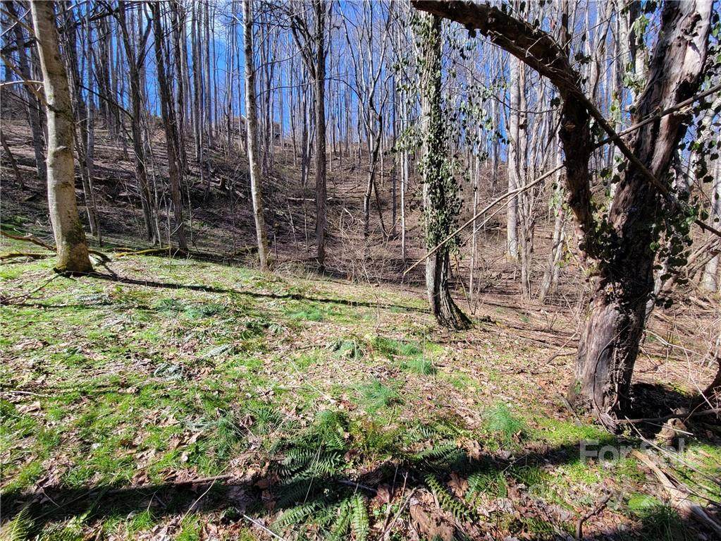 16 Fray Burrow Trail - Photo 1