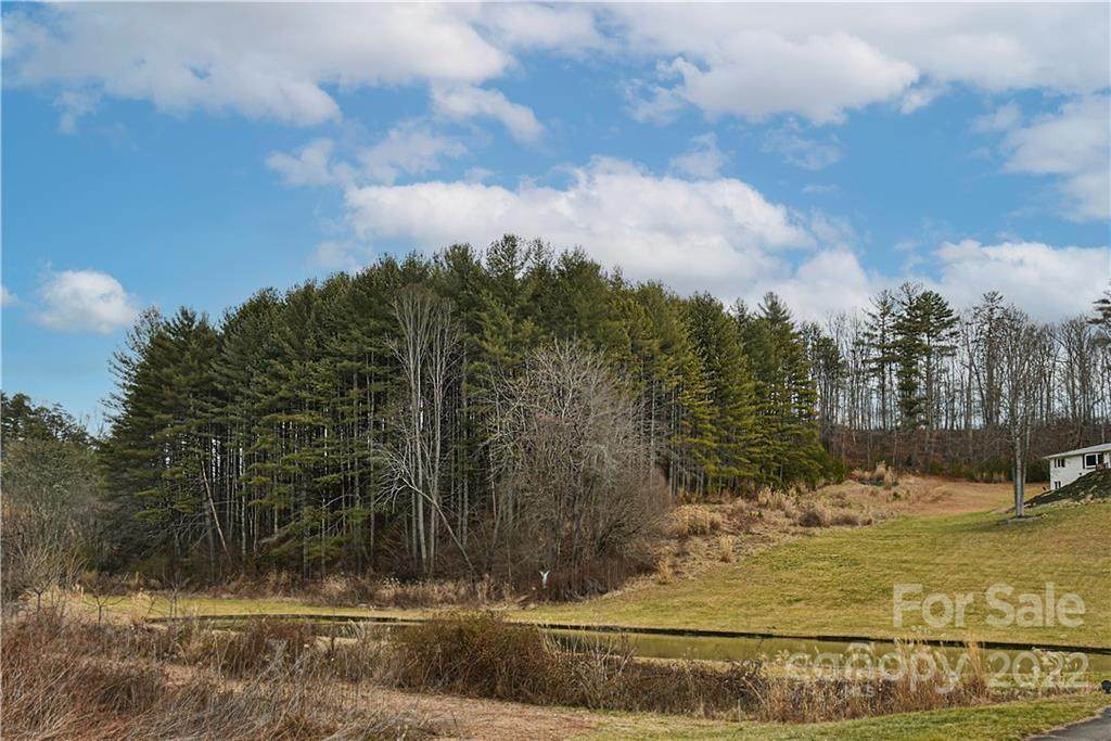 935 Calvin Edney Road - Photo 1