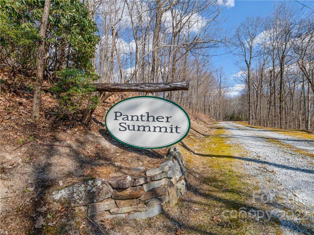 PS 1&2 Panther Summit Drive - Photo 1