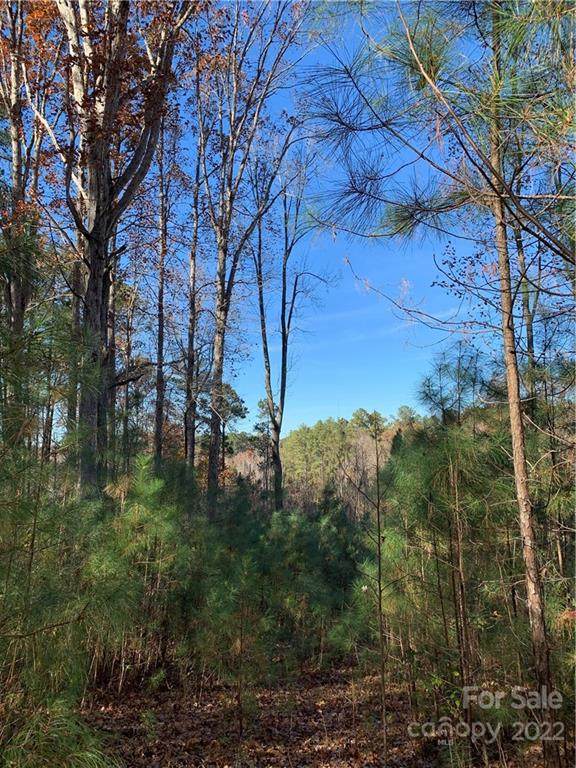 0 Pineview Lakes Road - Photo 1