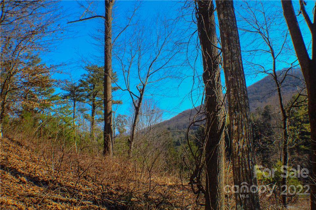 70 Mountain Magnolia Drive - Photo 1